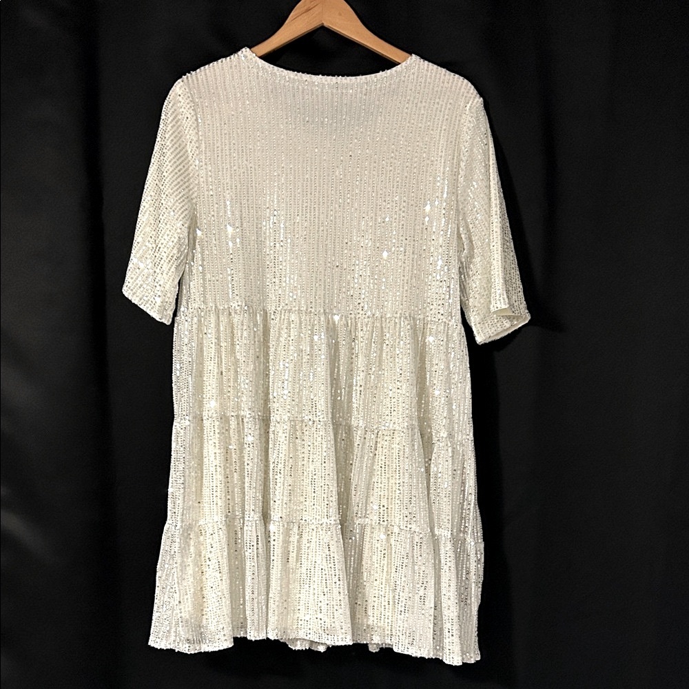 Elegant Cream Silver Sequin Dress - Picture 3 of 4
